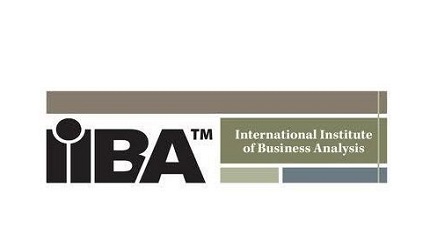 international-institute-business-analysis-nigeria-85.jpg