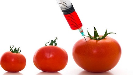 gmo.jpg